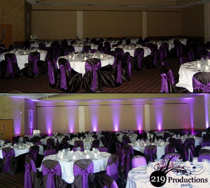 219 Productions - LED Uplighting at Villa Cesare
