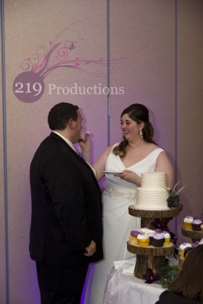 Avalon Manor Wedding Cake Uplighting