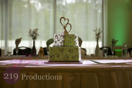 Patrician Banquets Wedding Cake Green Uplighting